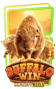Buffalo-Win.png